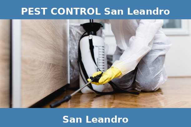PEST CONTROL San Leandro